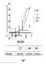 Fig. 11 - Binding molecules specific for HER3 and uses thereof