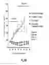 Fig. 43 - Binding molecules specific for HER3 and uses thereof
