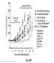 Fig. 53 - Binding molecules specific for HER3 and uses thereof