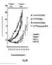 Fig. 58 - Binding molecules specific for HER3 and uses thereof