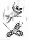 Fig. 04 - Antibody constant region variant
