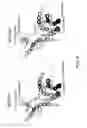 Fig. 05 - Antibody constant region variant