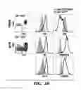 Fig. 07 - METHODS FOR DIAGNOSING AND TREATING IMMUNE DISEASE