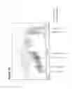 Fig. 12 - Fractionation of charged polysaccharide