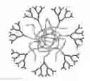 Fig. 01 - POLYDENDRONS