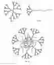 Fig. 06 - POLYDENDRONS