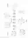 Fig. 12 - POLYDENDRONS