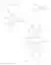 Fig. 05 - POLYDENDRONS