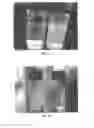 Fig. 17 - POLYDENDRONS