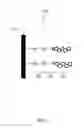 Fig. 02 - Zinc sulfide coupling agents