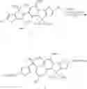 Fig. 76 - Polymer compound and organic semiconductor device using the same