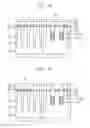 Fig. 14 - Photoresist polymers and methods of forming patterns
