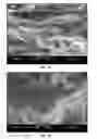 Fig. 04 - ULTRAHIGH LOADING OF CARBON NANOTUBES IN STRUCTURAL RESINS