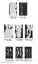 Fig. 06 - Composition comprising a continuous organic phase and a water-in-oil emulsion for covering a metal surface, and method for producing said composition