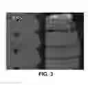 Fig. 04 - Methods and Compositions for Material Extrusion 3D Printing