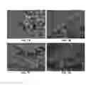 Fig. 08 - Methods and Compositions for Material Extrusion 3D Printing