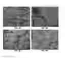 Fig. 10 - Methods and Compositions for Material Extrusion 3D Printing