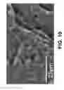 Fig. 11 - Methods and Compositions for Material Extrusion 3D Printing
