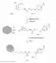 Fig. 01 - BONDING OR VULCANISATION COMPOSITIONS