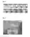 Fig. 02 - Controlling flow in downhole operations