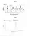 Fig. 07 - Sheet integrated rare earth complex and use thereof