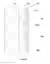 Fig. 04 - Corrosion-resistant surfaces for reactors