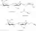 Fig. 47 - Process for producing novel sialo-sugar chain