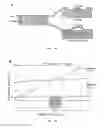 Fig. 07 - Methods, apparatuses, and systems for cell and tissue culture