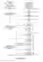 Fig. 14 - ANALYSIS AND SCREENING OF POLY-FUNCTIONAL SECRETION PROFILES