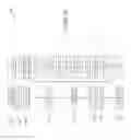 Fig. 18 - ANALYSIS AND SCREENING OF POLY-FUNCTIONAL SECRETION PROFILES