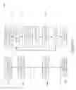 Fig. 20 - ANALYSIS AND SCREENING OF POLY-FUNCTIONAL SECRETION PROFILES