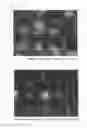 Fig. 12 - Cell culture kit, screening method, and method of manufacturing cell culture kit