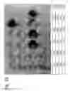 Fig. 08 - Osteoblast and method for preparing same