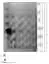 Fig. 09 - Osteoblast and method for preparing same