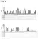 Fig. 12 - Osteoblast and method for preparing same