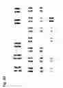 Fig. 46 - Osteoblast and method for preparing same