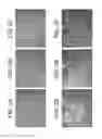 Fig. 04 - Differentiation of human pluripotent stem cells