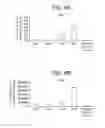 Fig. 14 - Differentiation of human pluripotent stem cells