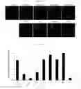 Fig. 13 - Composition for maintaining chromosomal stability of pluripotent stem cells, containing small-molecule compounds