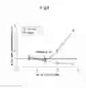 Fig. 10 - Cell mass capable of serving as a primitive organ-like structure comprised of a plurality of cell types of somatic origin