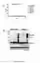 Fig. 14 - Truncated Constructs of RIPK3 and Related Uses