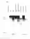 Fig. 04 - RECOMBINANT REVERSE TRANSCRIPTASES