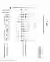 Fig. 05 - Mutant endonuclease V enzymes and applications thereof