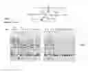 Fig. 06 - Mutant endonuclease V enzymes and applications thereof