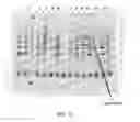 Fig. 09 - Mutant endonuclease V enzymes and applications thereof