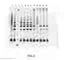 Fig. 10 - Mutant endonuclease V enzymes and applications thereof