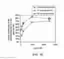 Fig. 11 - Mutant endonuclease V enzymes and applications thereof