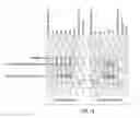 Fig. 15 - Mutant endonuclease V enzymes and applications thereof