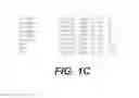 Fig. 04 - ALPHA-AMYLASES FROM EXIGUOBACTERIUM, AND METHODS OF USE, THEREOF