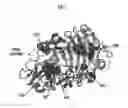 Fig. 02 - Method for producing highly active cellobiohydrolase and highly active cellobiohydrolase